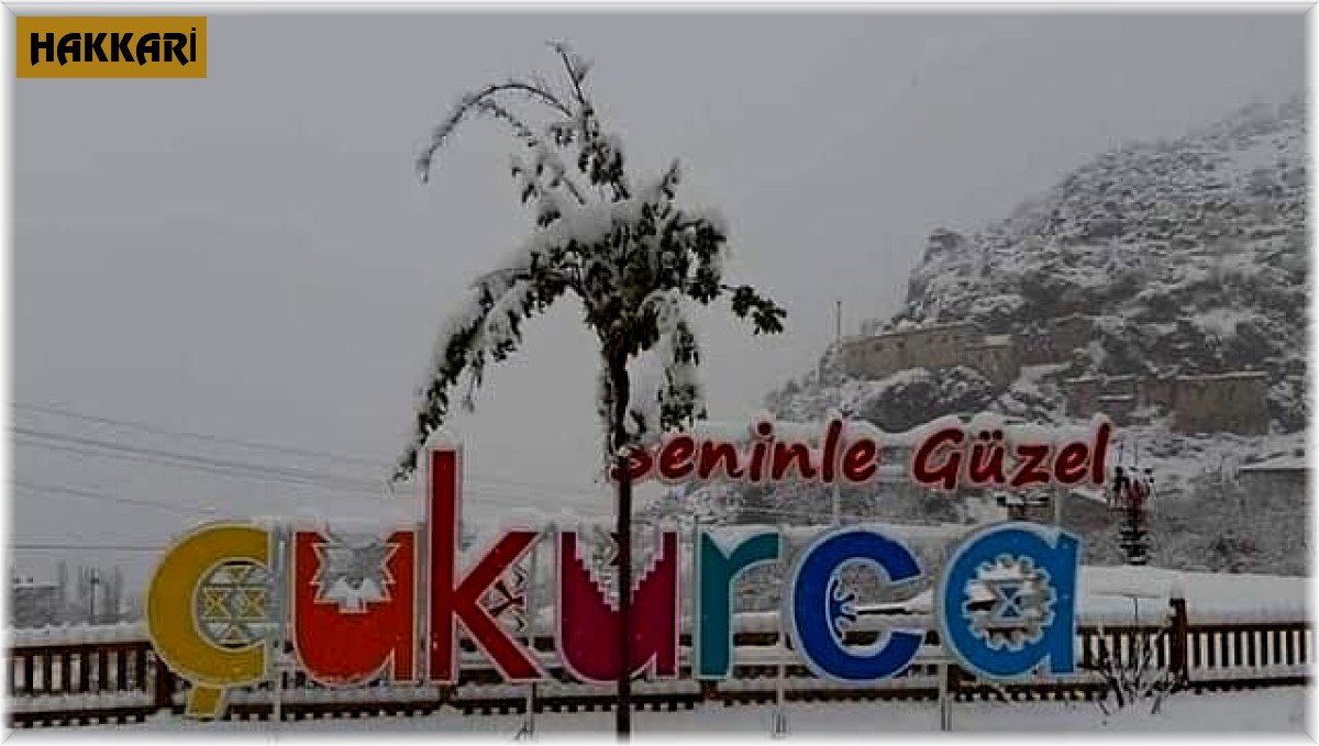 Çukurca'da eğitime 1 gün ara verildi