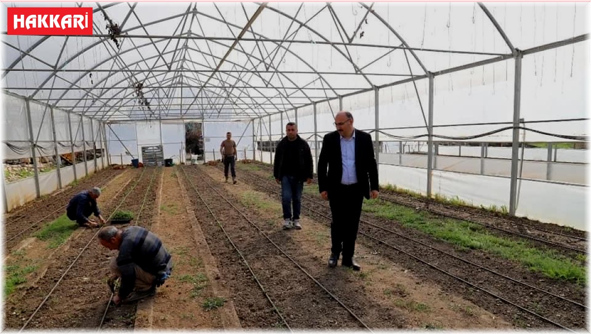 Çukurca'da fide ekimine başlandı