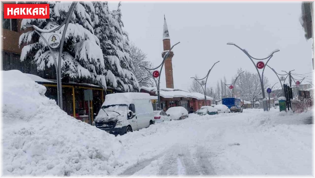 Çukurca'da kar kalınlığı 50 santimetreyi geçti