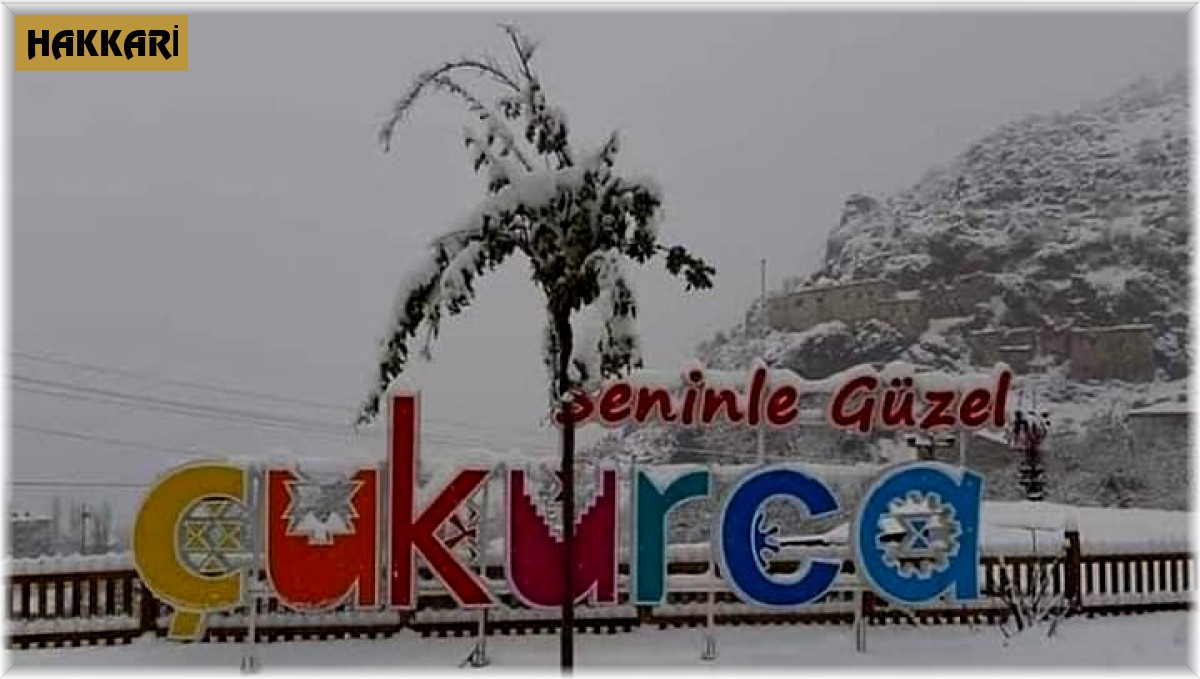 Çukurca'da okullar tatil edildi