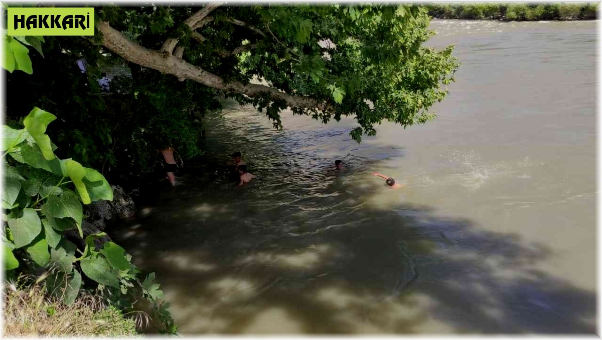 Çukurca'da sıcaklar bunalttı