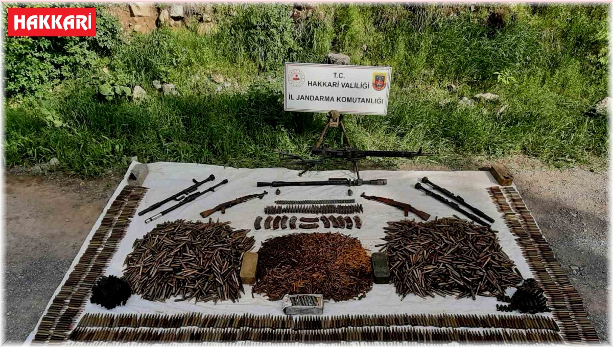 Çukurca'da silah ve mühimmat ele geçirildi