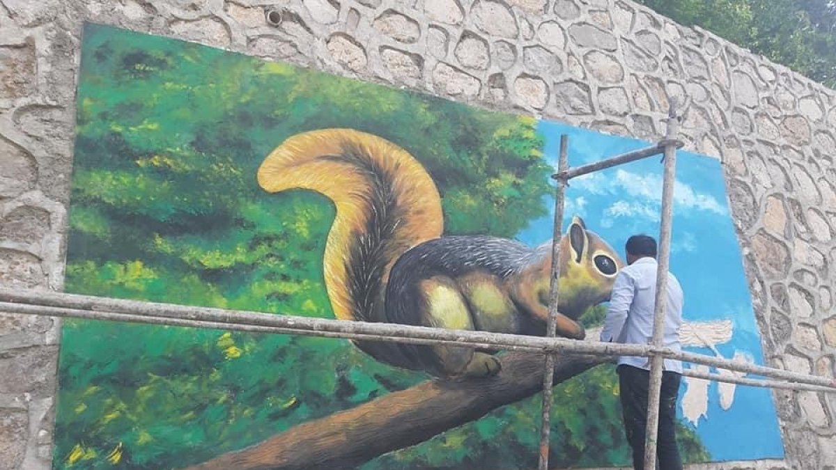 Çukurca ilçesine yapılan resimler göz kamaştırıyor