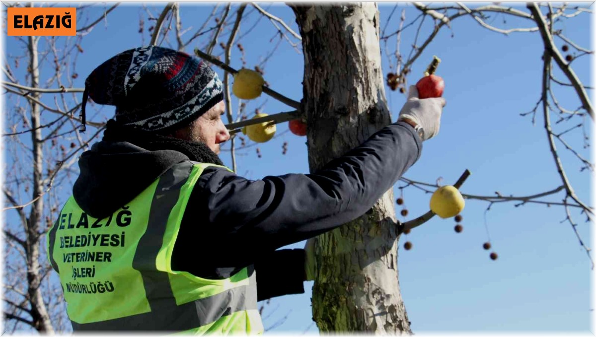 Cumhurbaşkanı Erdoğan işaret etti, Elazığ Belediyesi hemen yerine getirdi