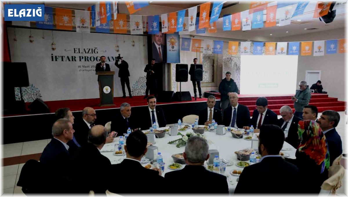 Cumhurbaşkanı Yardımcısı Yılmaz: ''Mayıstan sonra yıllık bazda düşüşleri göreceğiz''