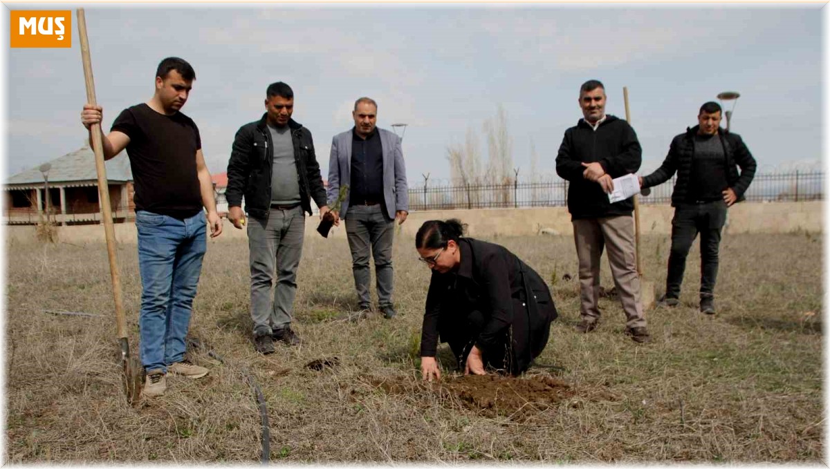 Cumhuriyet savcıları fidan dikti