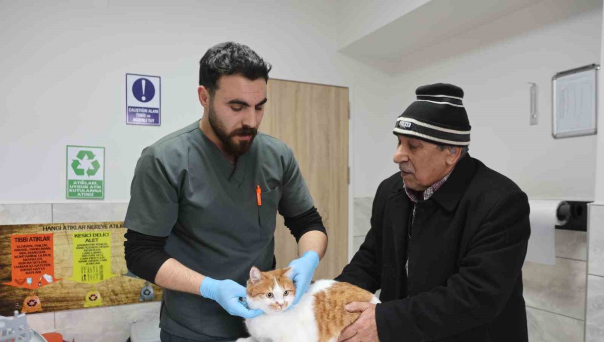 Cumhuriyet tarihinin ilk fakültesine ait hastanede, bir yılda 9 bin 600 hayvan şifa buldu