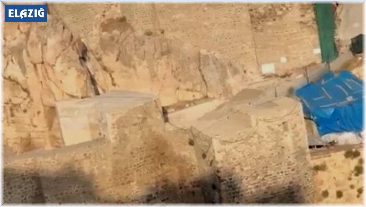 Dağ keçileri Harput'u mesken tuttu