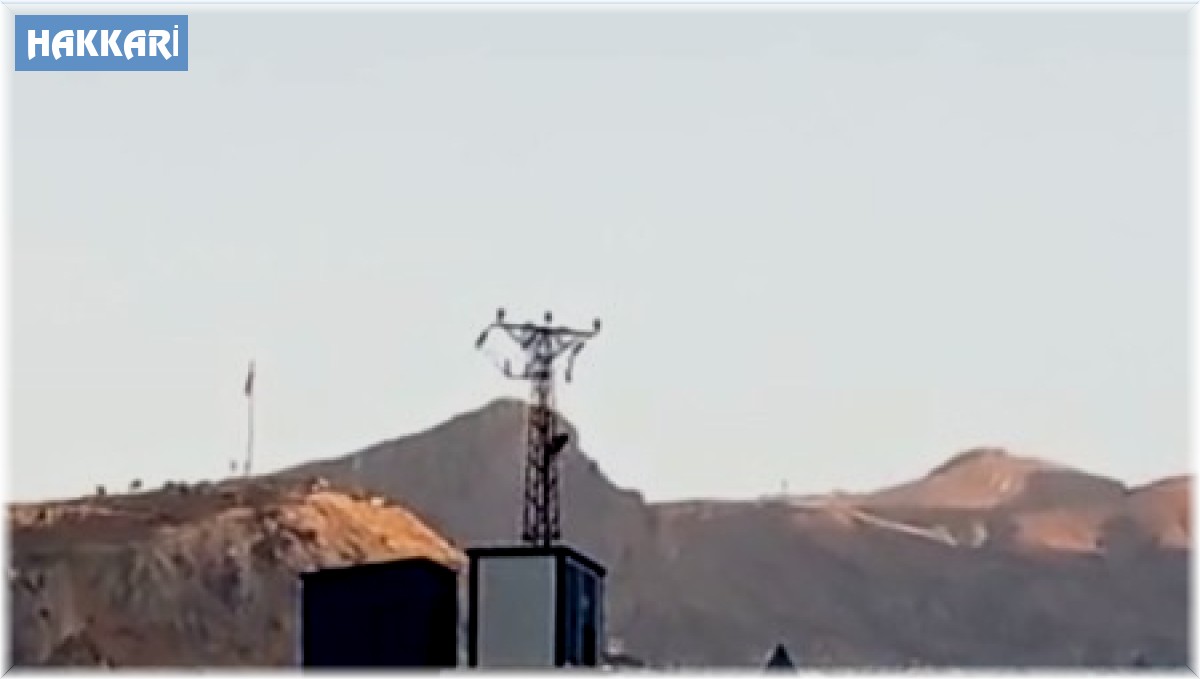 Dağ keçileri kent merkezinde görüntülendi