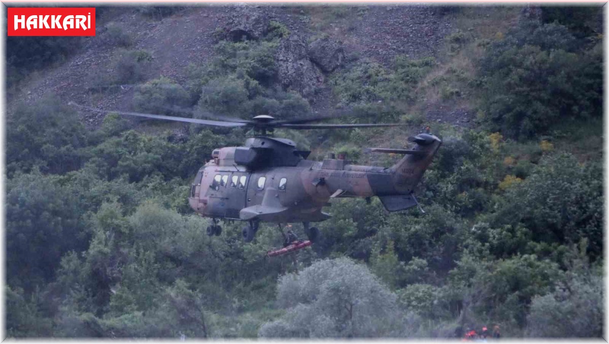 Dağda ağaçtan düşerek yaralanan kadının yardımına Mehmetçik koştu