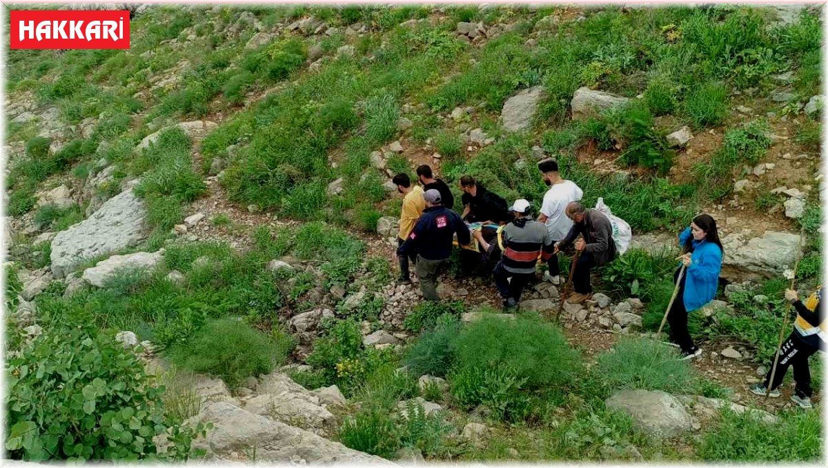 Dağda rahatsızlanan vatandaş ambulans helikopterle kurtarıldı