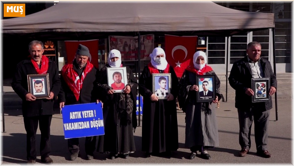 Dağdaki oğluna seslenen anne: "Artık evlat hasretine dayanamıyoruz"