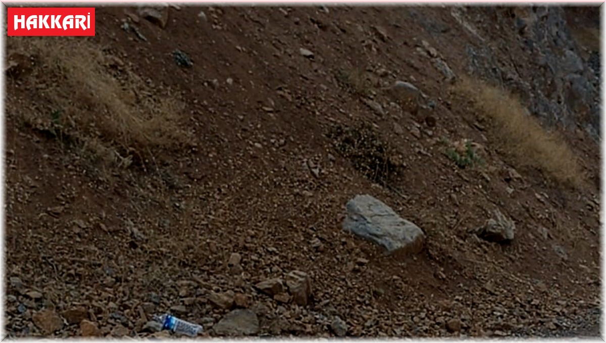 Dağdan düşerek yaralanan ayının durumu yürekleri yaktı