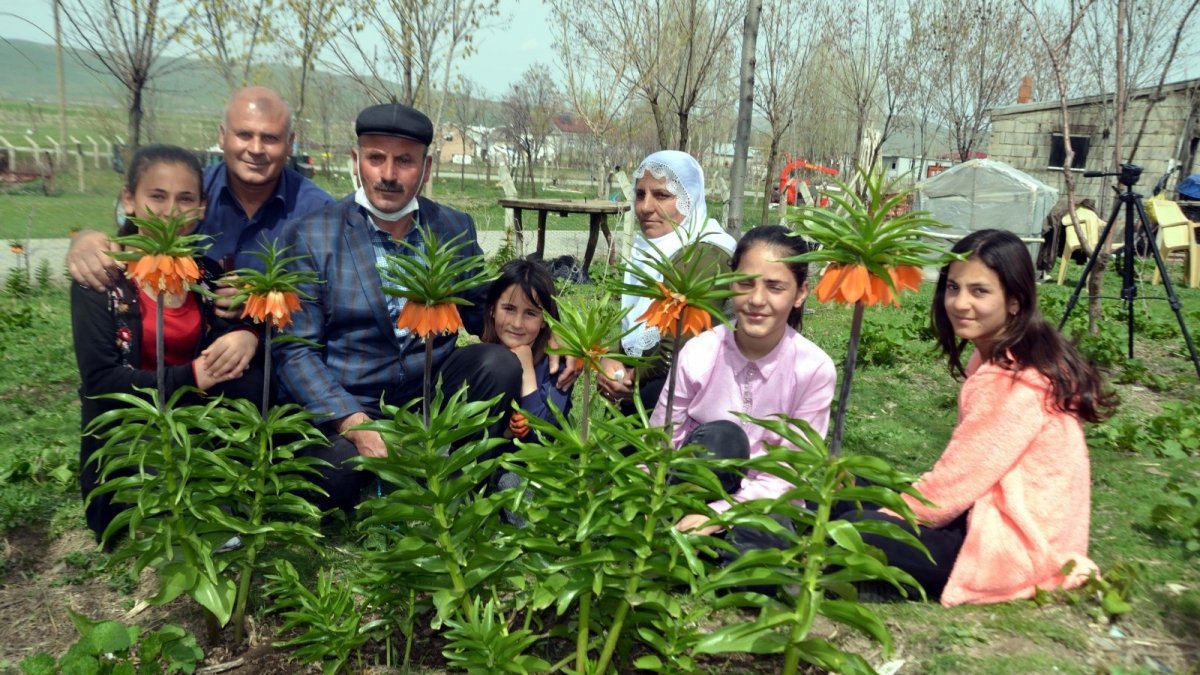 Dağdan getirdiği ters lale tohumlarıyla bahçesini süsledi