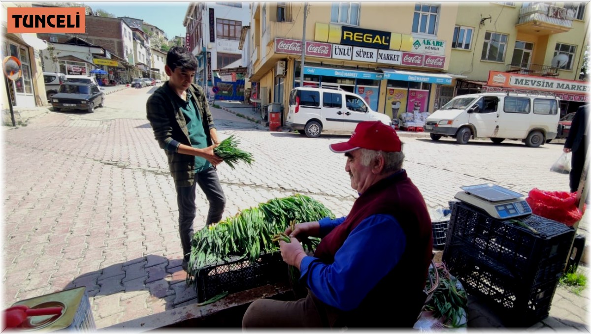 Dağdan topladıkları otlarla geçimlerini sağlıyorlar