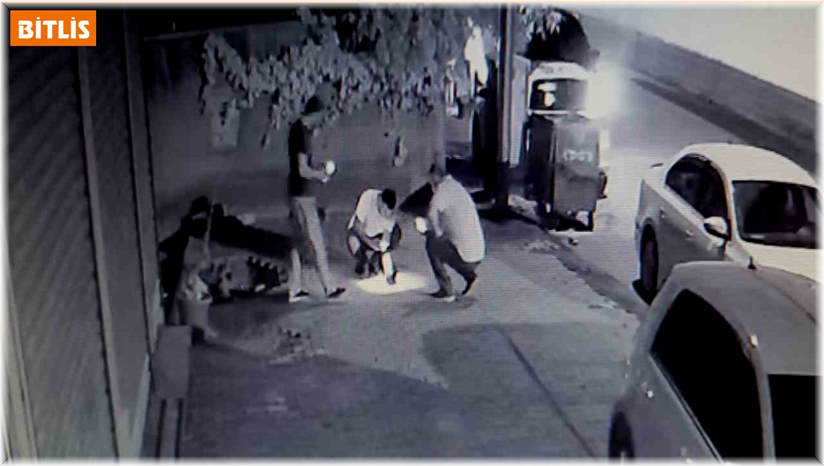 Dakikalarca kalp masajı yapılan kuş hayata döndürüldü