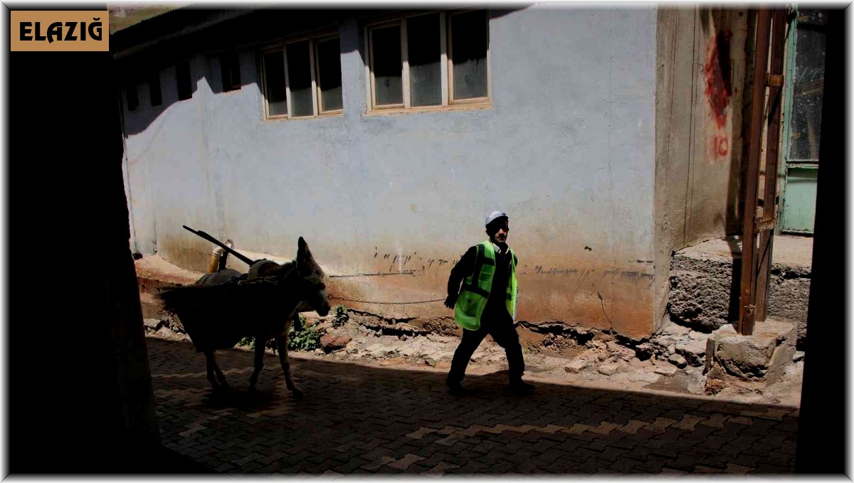 Dar sokaklardaki çöpler 'Kadrolu eşeklere' emanet