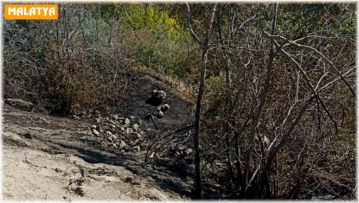Darende'de bahçe yangını