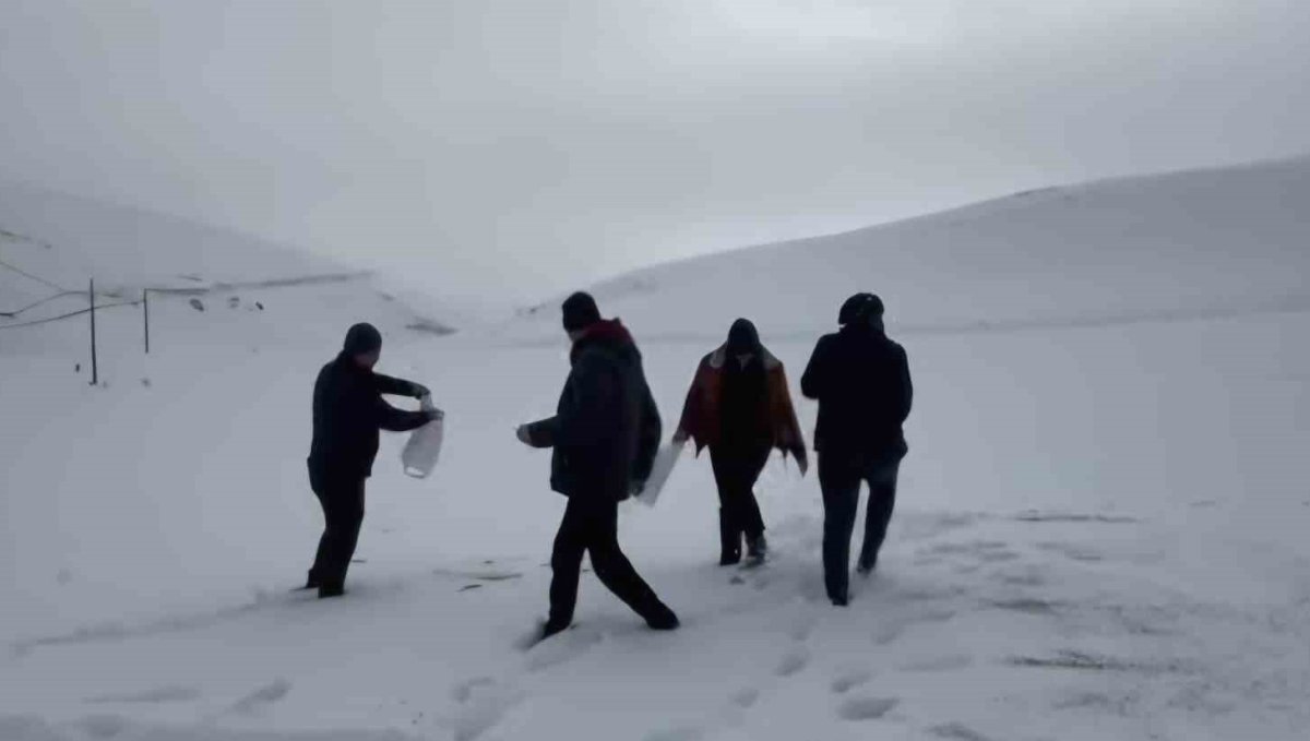 Darende'de öğretmen ve öğrencilerden yaban hayvanlarını unutmadı