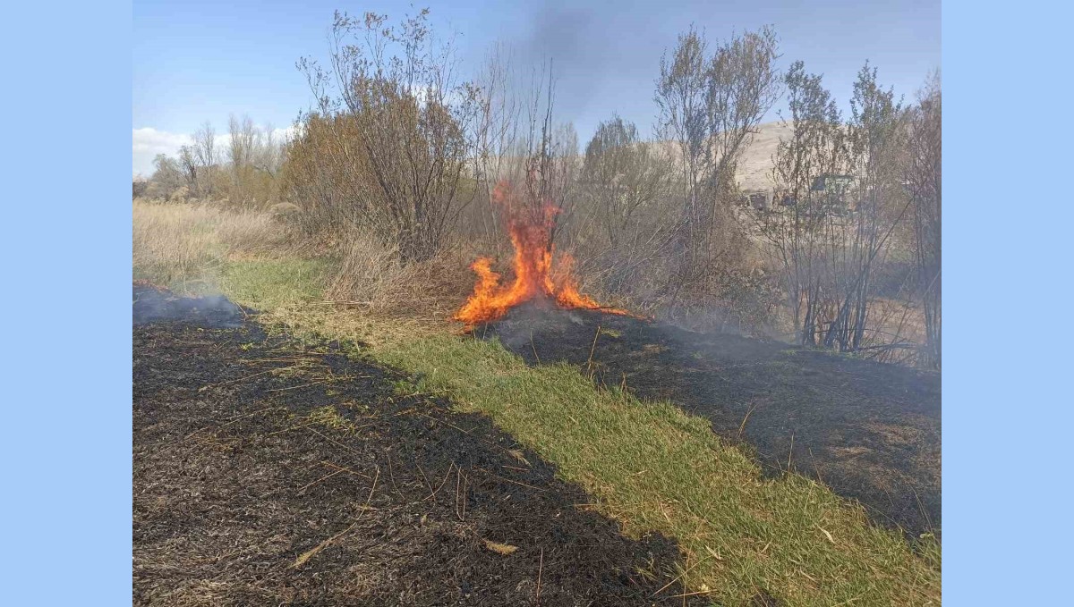 Darende'de sazlık yangını
