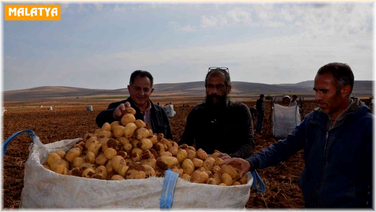 Darende patateste bölgenin cazibe merkezi oldu