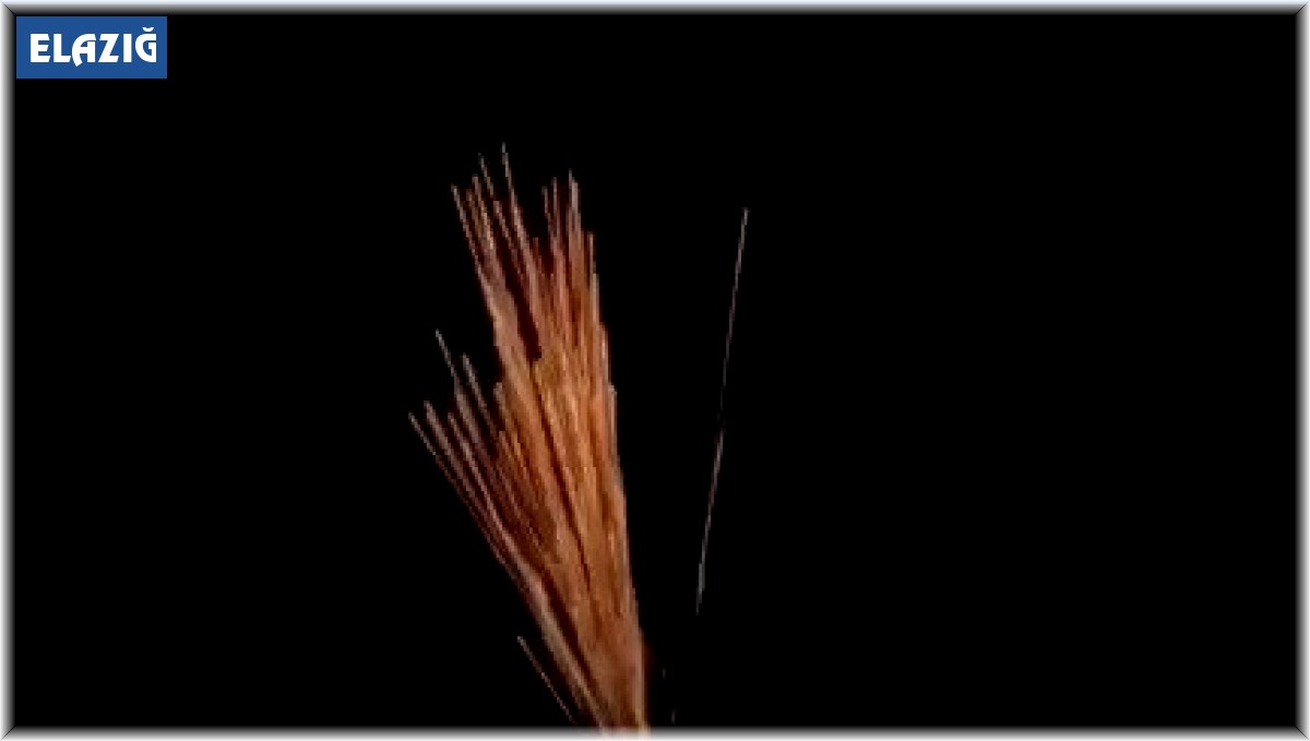 Davula ritim tutan şahıs, iki eline aldığı silahla havaya ateş açtı