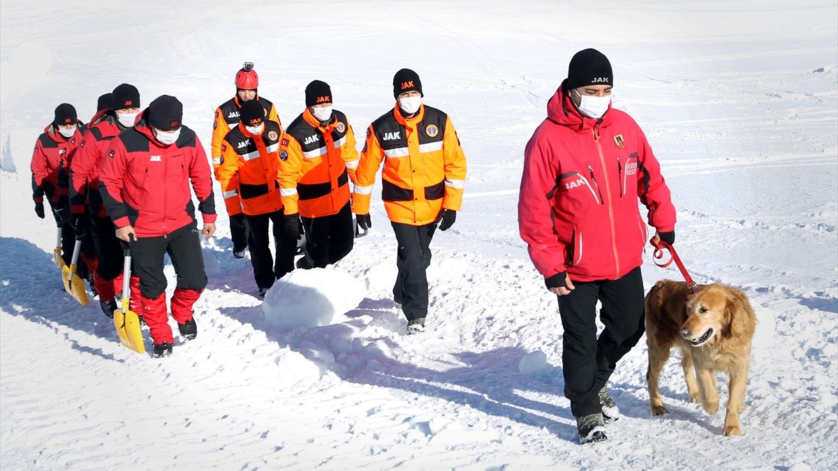 Dedektör köpek "Gurbet" karlı dağlarda hayat kurtarıyor