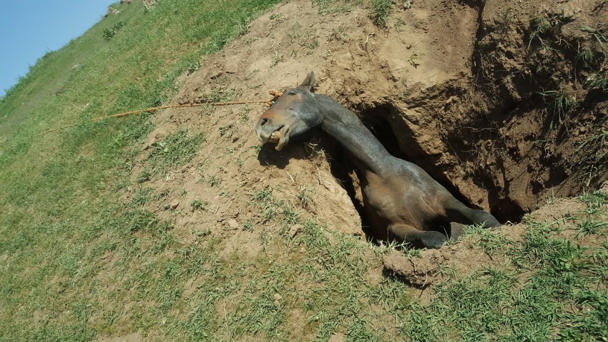 Definecilerin mezarlık bölgesinde kazdığı çukur atın sonu oldu