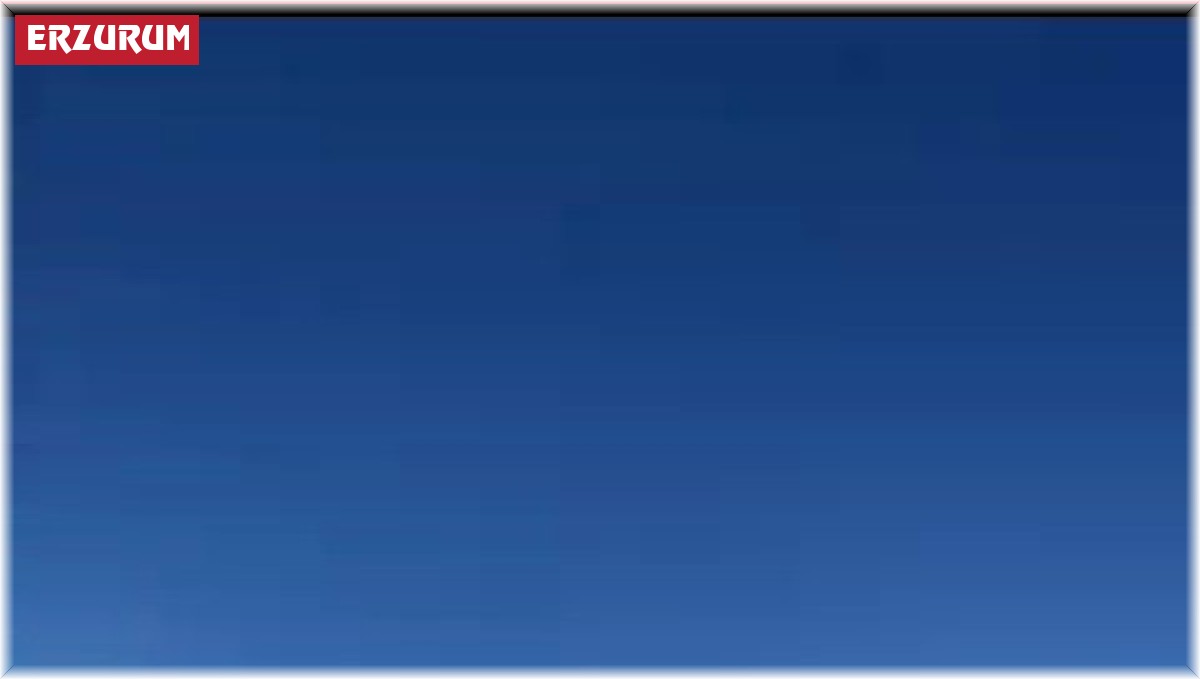 Delice doğan doğal yaşam alanına bırakıldı