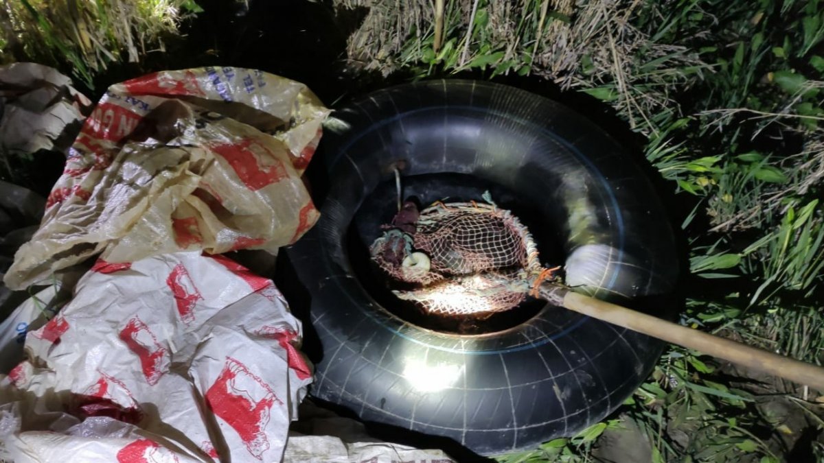 Denetimlerde 350 kilo inci kefali balığı ele geçirildi