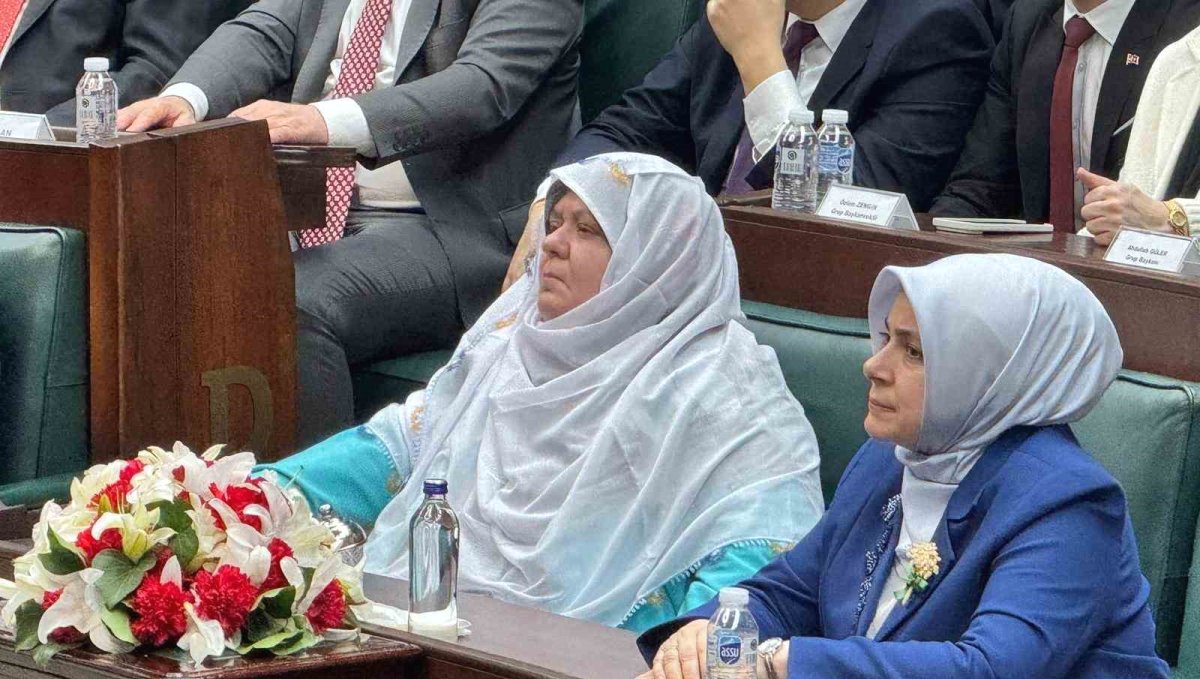 Deprem bölgesi için tarihi finansman modeli