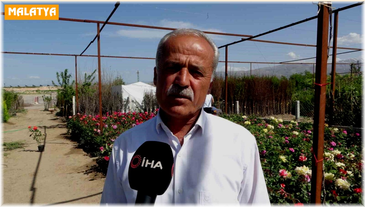 Deprem bölgesi Malatya'da fidelere ilgi arttı