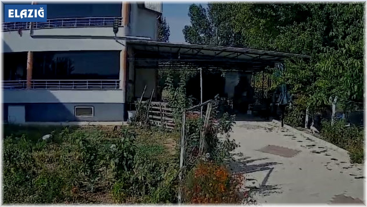 Deprem Elazığ'da güvenlik kameralarına yansıdı