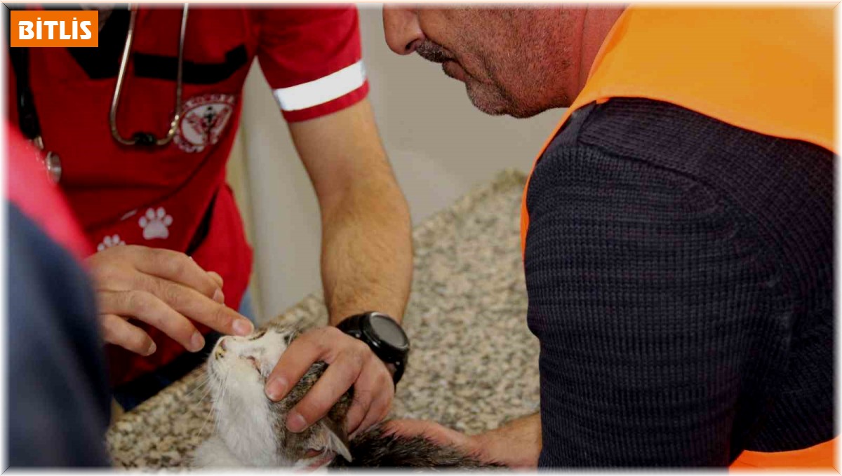 Depremden kurtarılan hayvanlara Tatvan kucak açtı