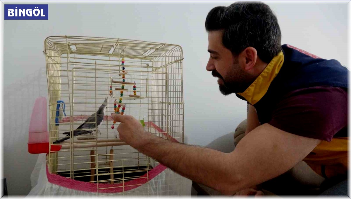 Depremin 10'uncu gününde enkazdan canlı çıkan papağanı sağlık personeli sahiplendi