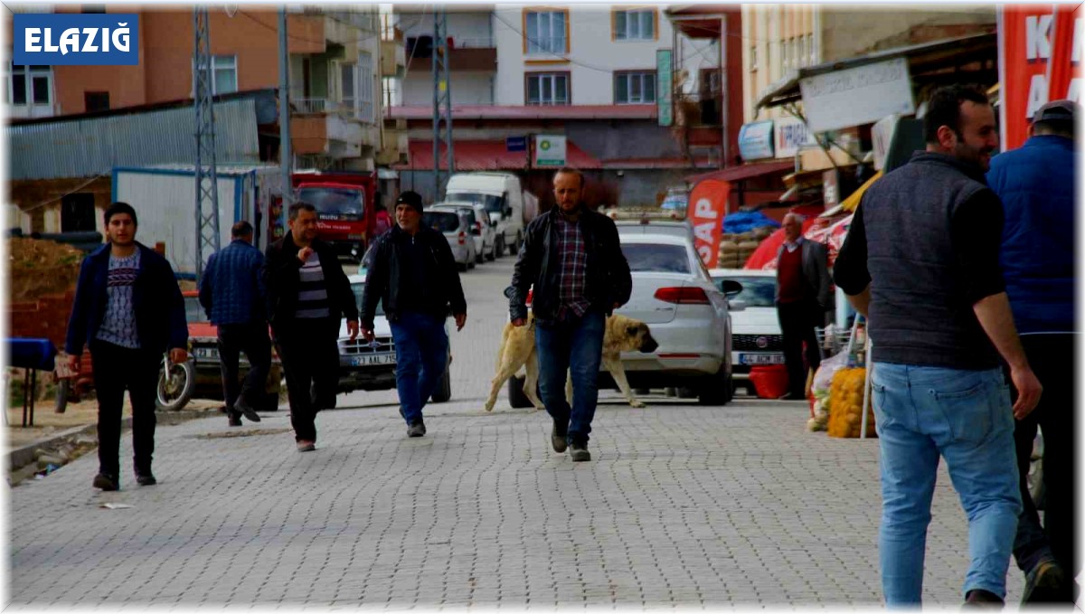 Depremin ardından vatandaşlar bu ilçeye akın etti