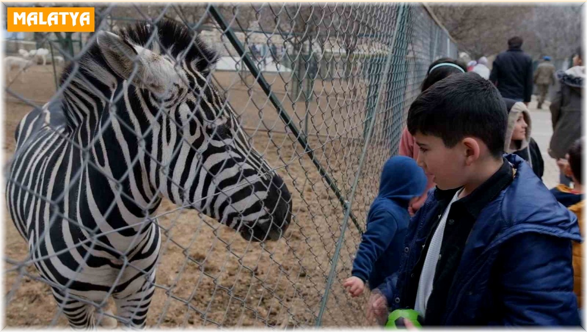 Depremzede çocuklara hayvanat bahçesi morali