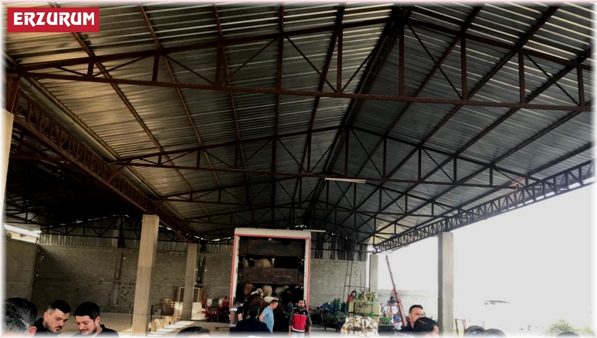 Depremzedelere küçükbaş hayvan desteği