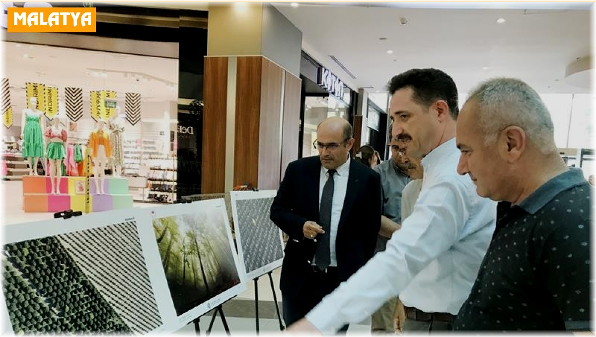 Dereceye giren fotoğraflar görücüye çıktı