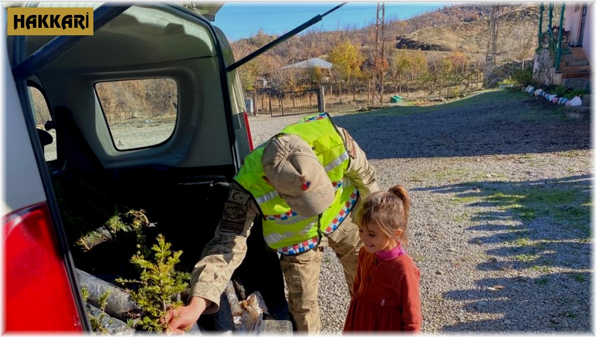 Derecik'te 6 bin fidan toprakla buluşturuldu