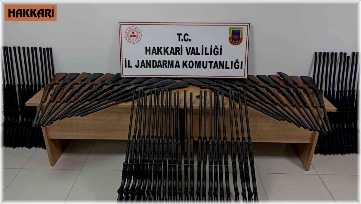 Derecik'te 71 av tüfeği ele geçirildi