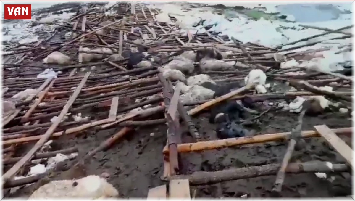 Derecik'te ahır çöktü, 40 küçükbaş hayvan telef oldu