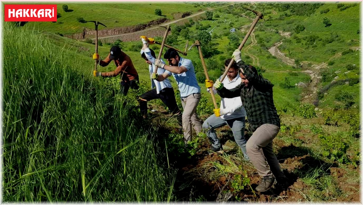 Derecik'te çiftçiler imece usulü ile birbirlerine yardım ediyor