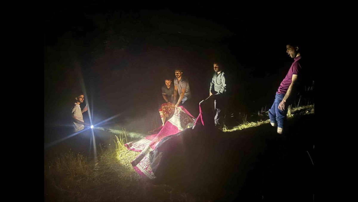 Derecik'te dağda rahatsızlanan inek, halı içerisinde 1 kilometre taşındı