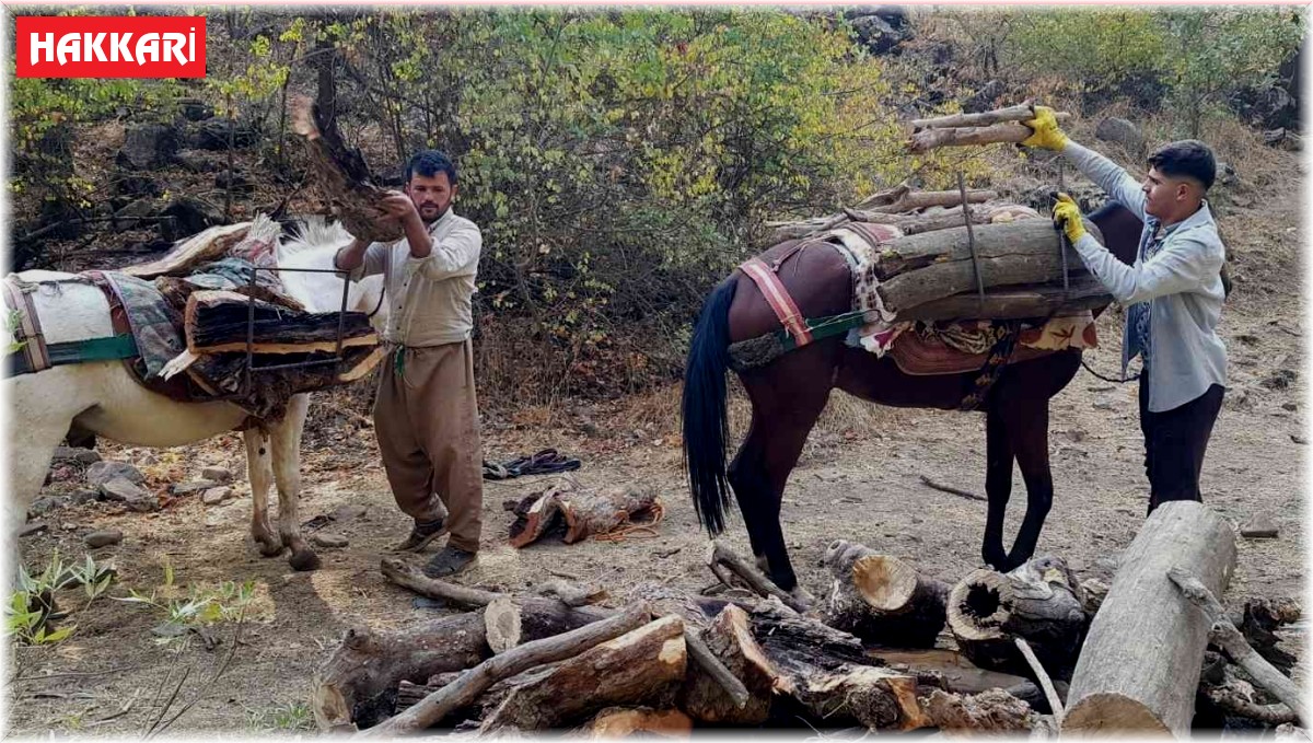 Derecik'te kışlık odun toplama telaşı