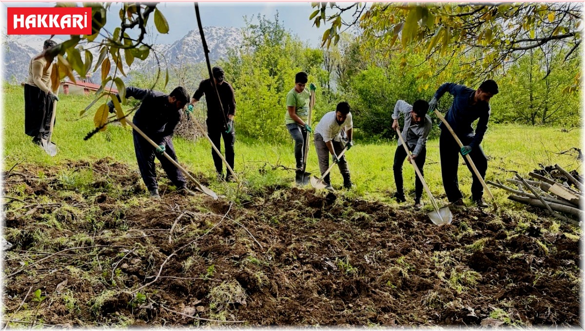 Derecik'te köylülerin imece usulü bağ çapalama mesaisi