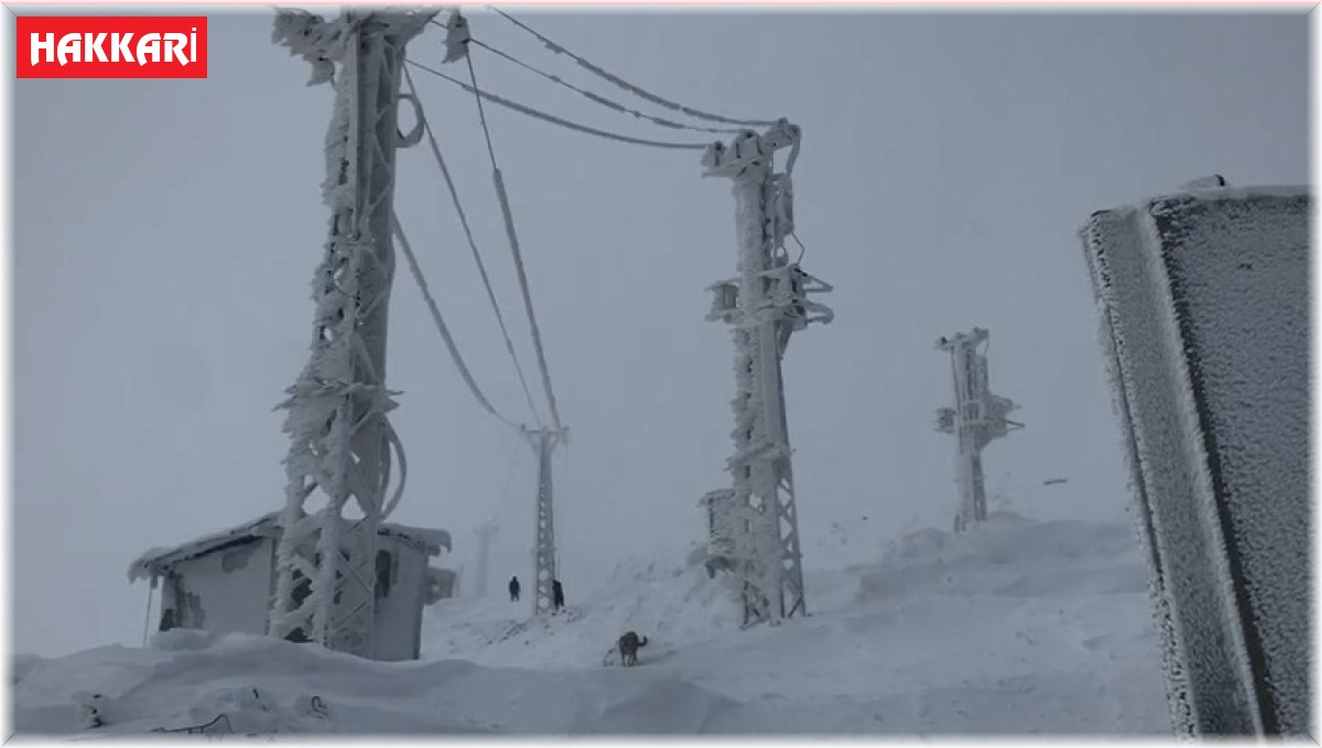 Derecik'te Sibirya'yı aratmayan soğuklarda, elektrik direkleri buz tuttu