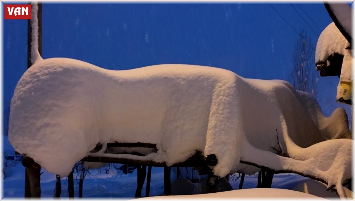 Derecik'te tek katlı evler kara gömüldü