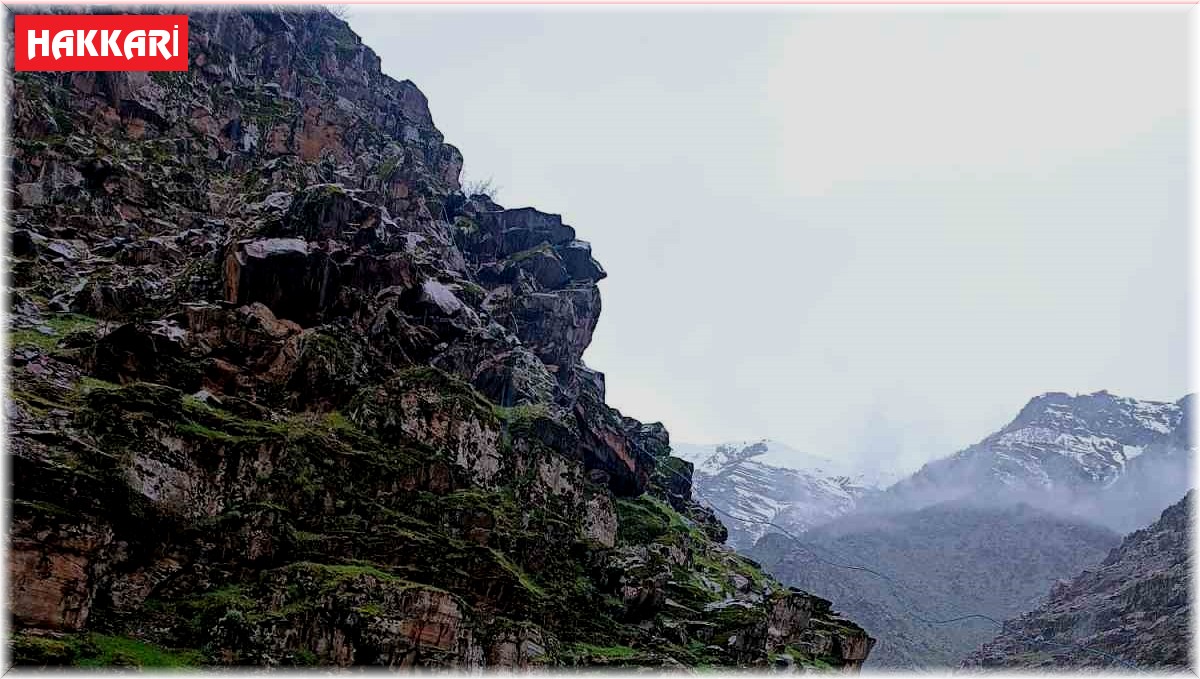 Dereye düşen at kurtarıldı