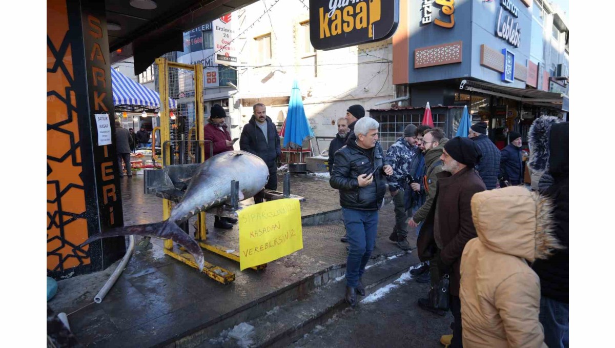 Dev Orkinos Erzincan'da olay oldu! Tezgâh önünde fotoğraf yarışı